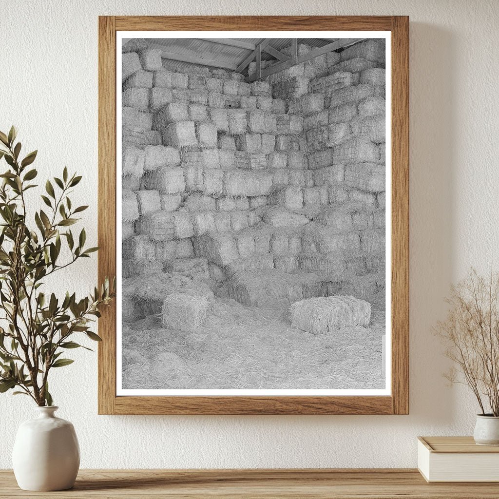Baled Hay Storage at Casa Grande Valley Farms 1940 - Available at KNOWOL