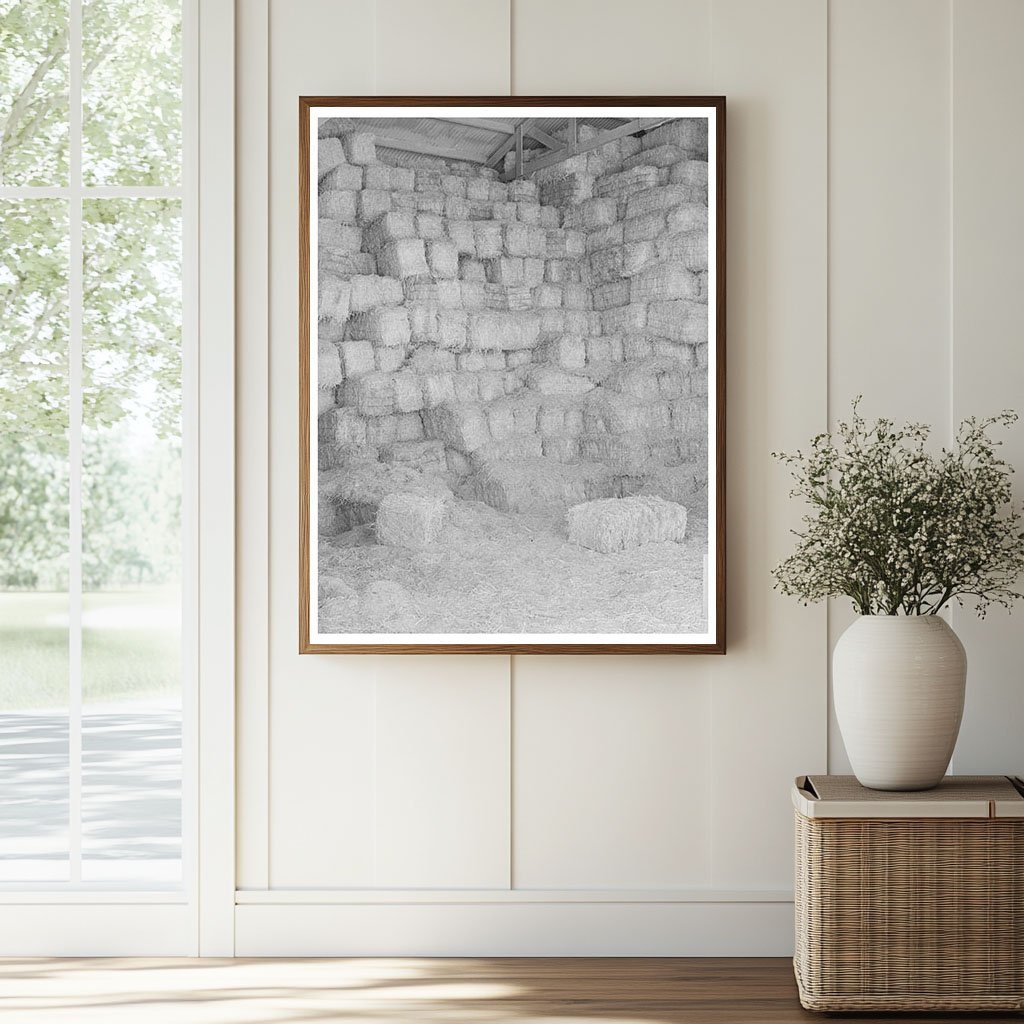 Baled Hay Storage for Cattle Feed Casa Grande Valley 1940 - Available at KNOWOL
