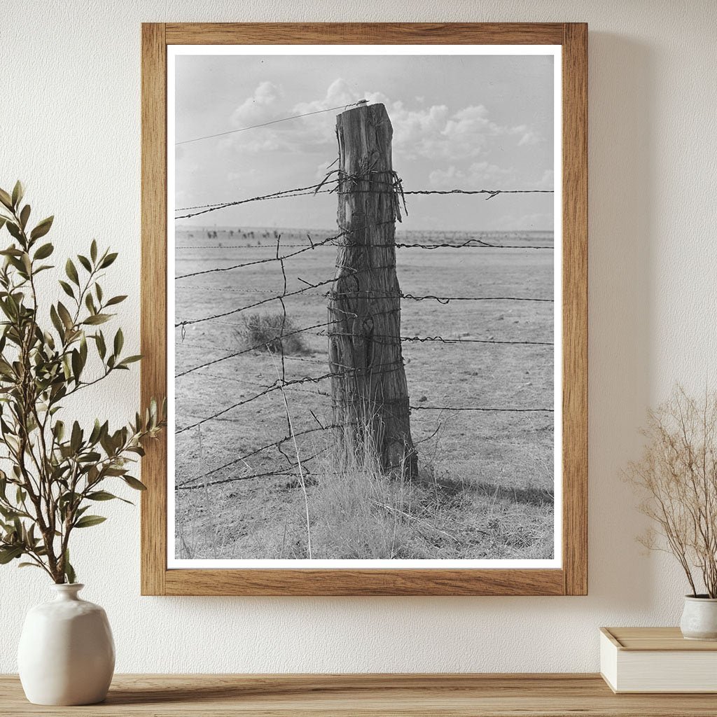 Barbed Wire Fence at Walking X Ranch Marfa Texas 1939 - Available at KNOWOL