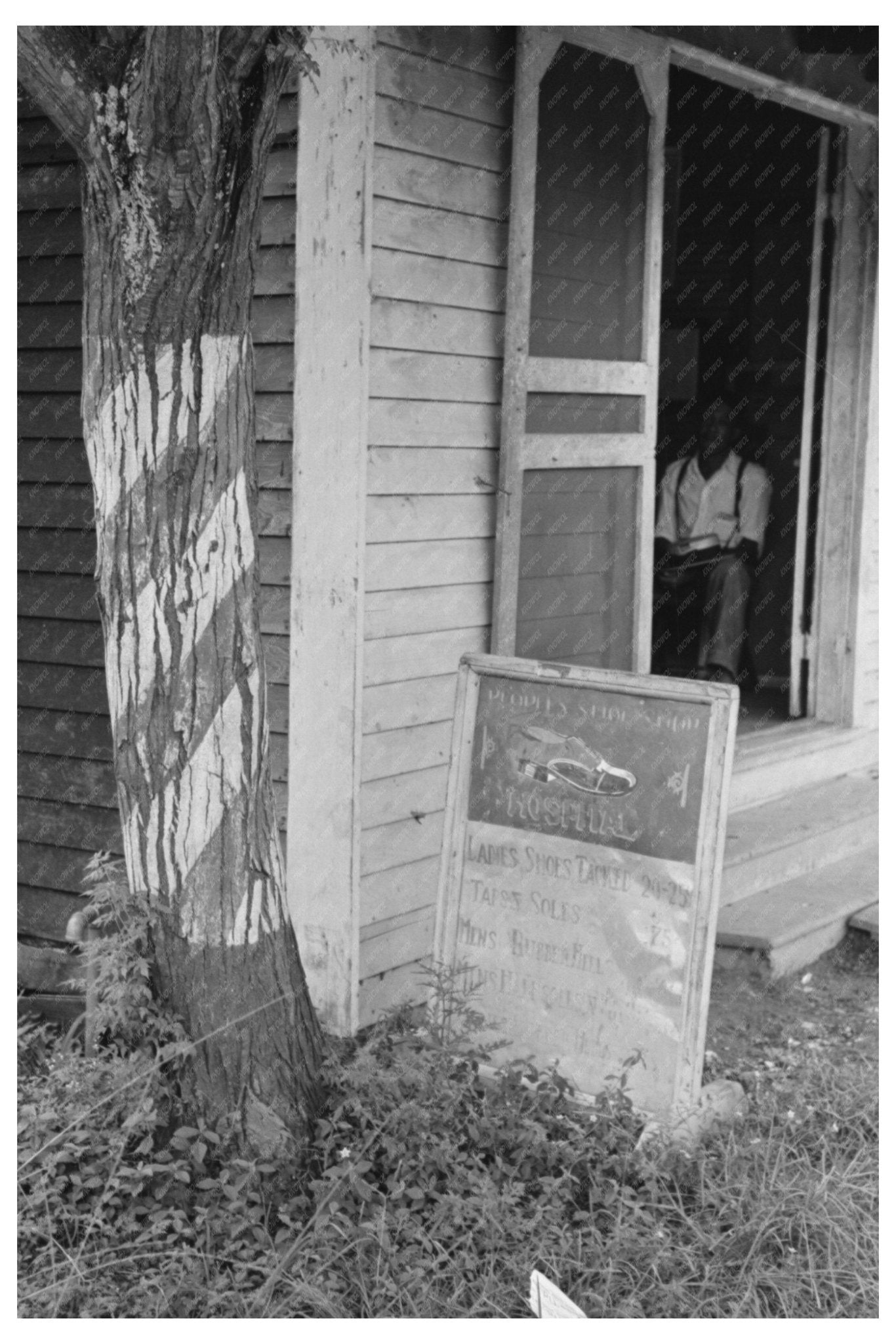 Barber Pole on Tree in Kenner Louisiana September 1938 - Available at KNOWOL