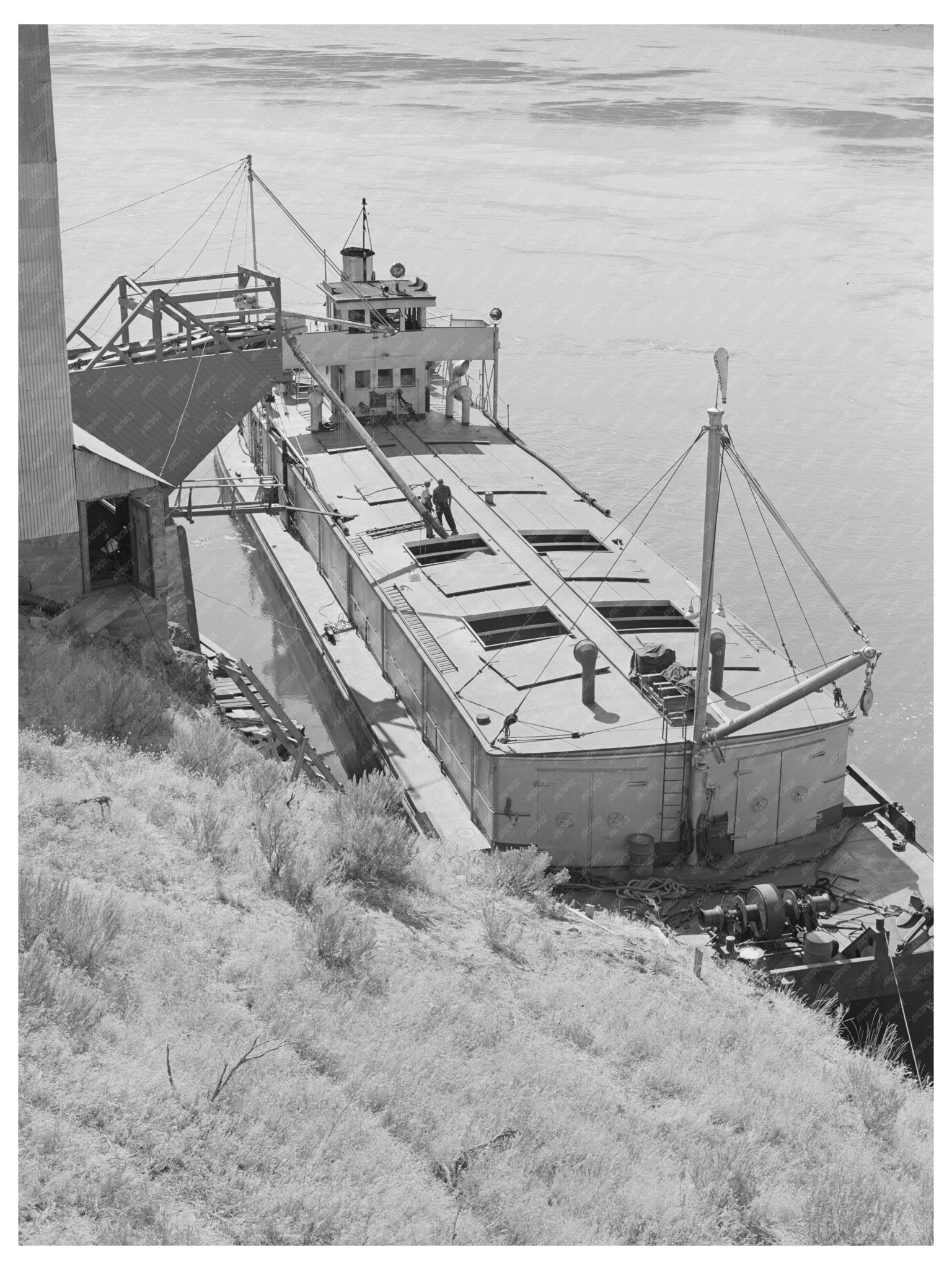 Barge Transporting Bulk Wheat Walla Walla July 1941 - Available at KNOWOL