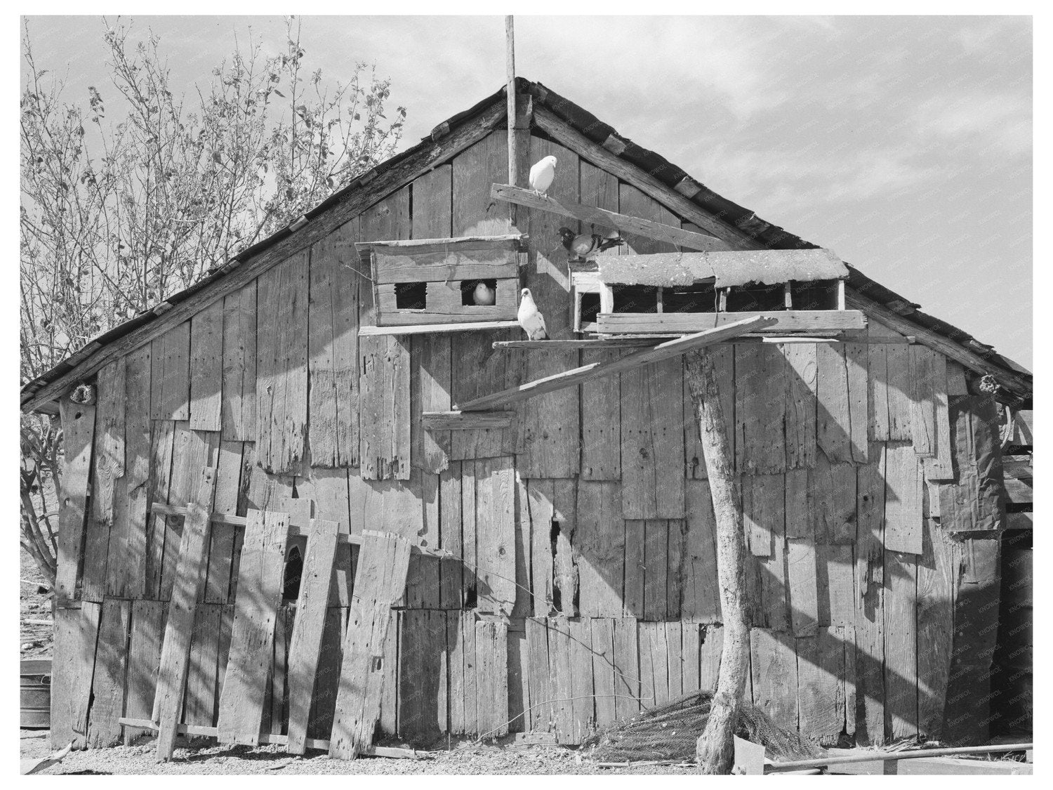 Barn and Pigeon Cote of Mexican Laborer Texas 1939 - Available at KNOWOL
