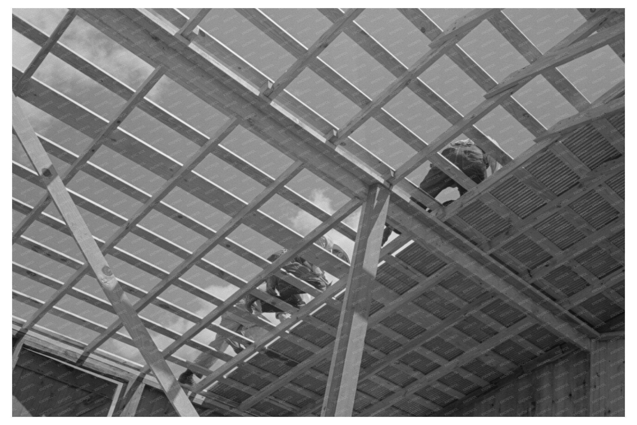 Barn Roof Construction Southeast Missouri May 1938 - Available at KNOWOL