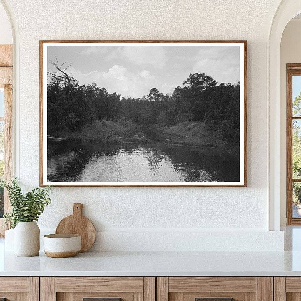 Bayou Trees and Moss Houston Texas October 1939 - Available at KNOWOL