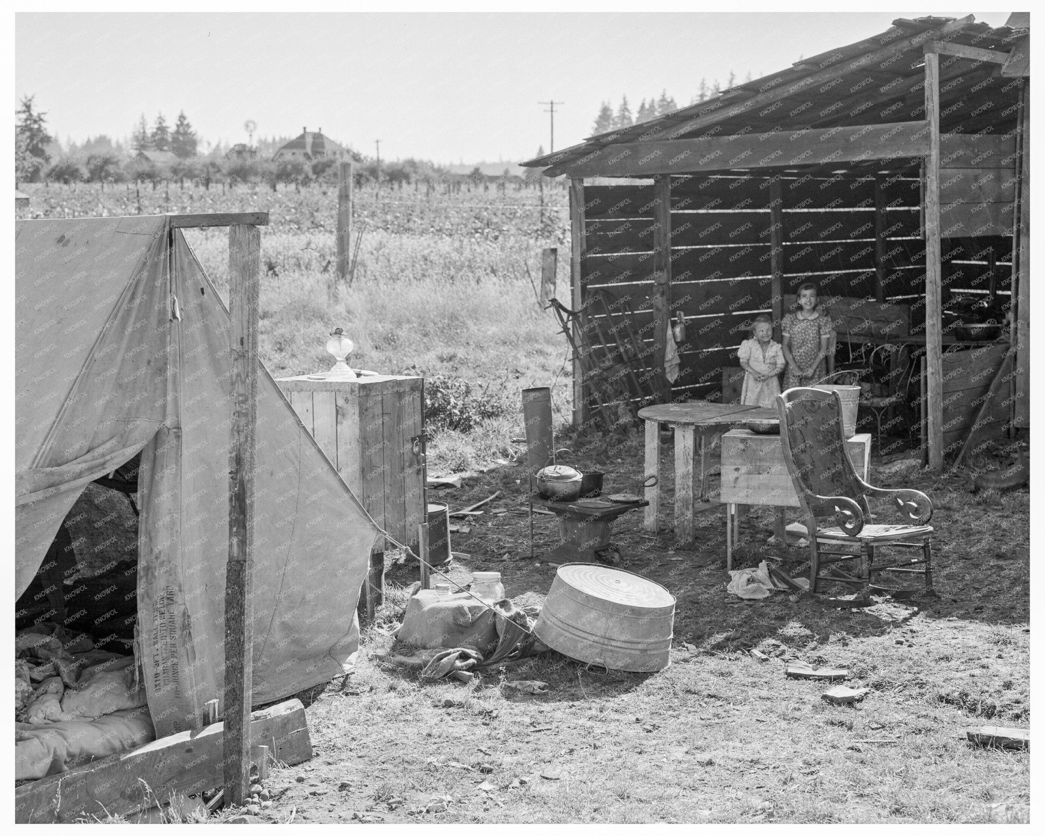 Bean Pickers Camp Oregon August 1939 Vintage Photograph - Available at KNOWOL