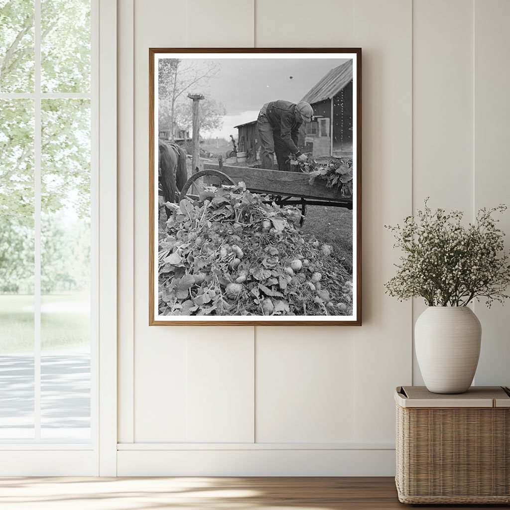 Beet Unloading Machine in East Grand Forks 1937 - Available at KNOWOL
