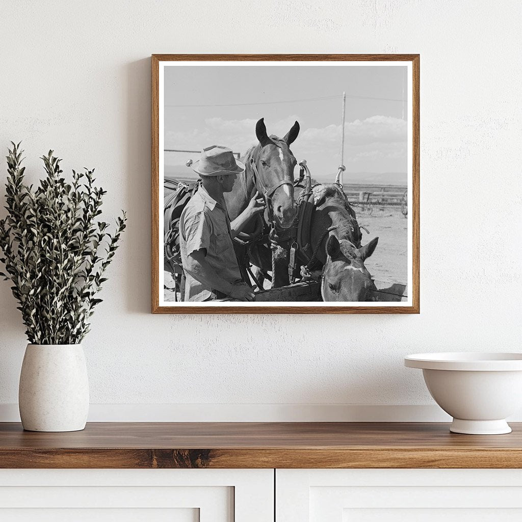 Big Hole Valley Montana Horses at Ranch August 1942 - Available at KNOWOL