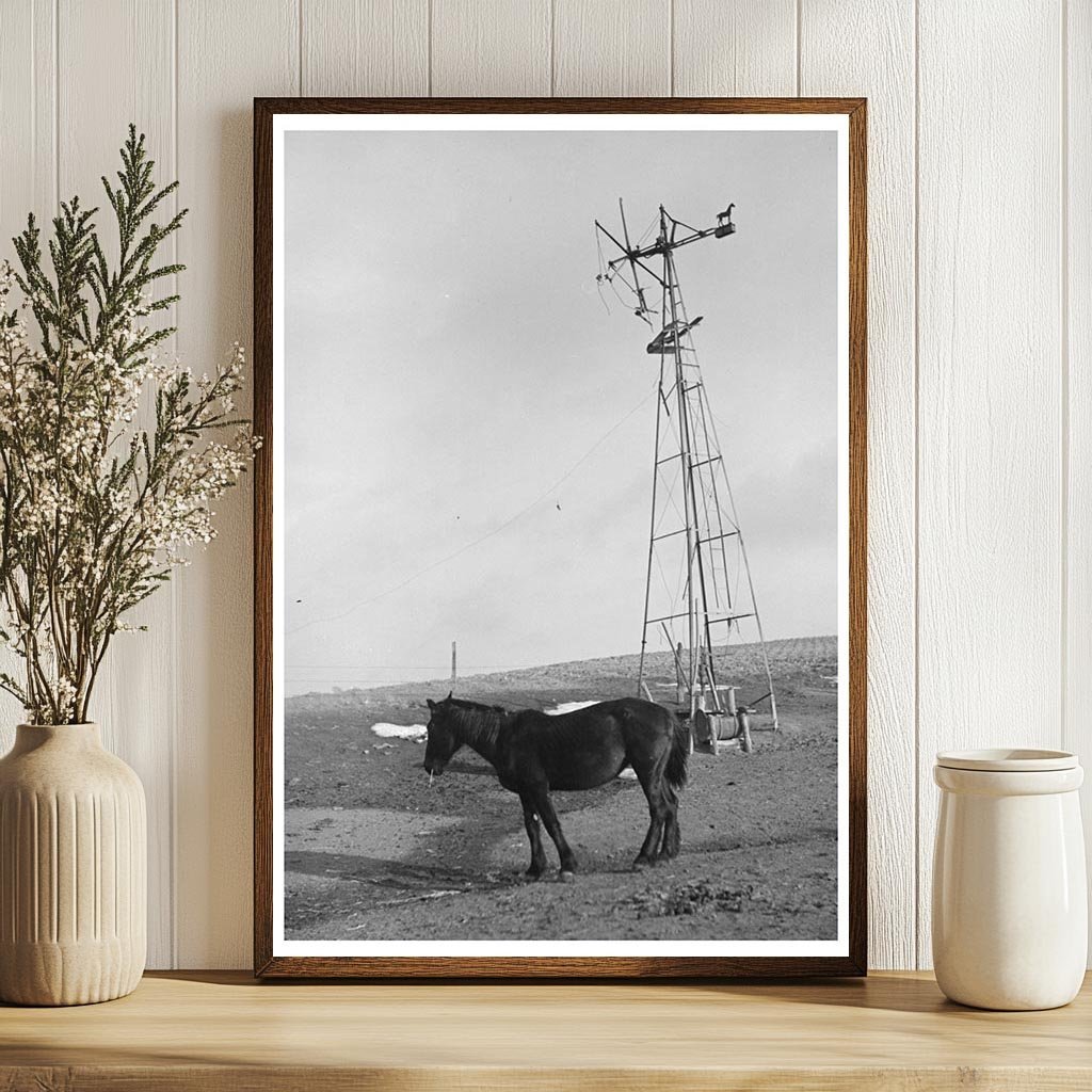 Blind Horse by Broken Windmill on Glen Cooks Farm 1936 - Available at KNOWOL