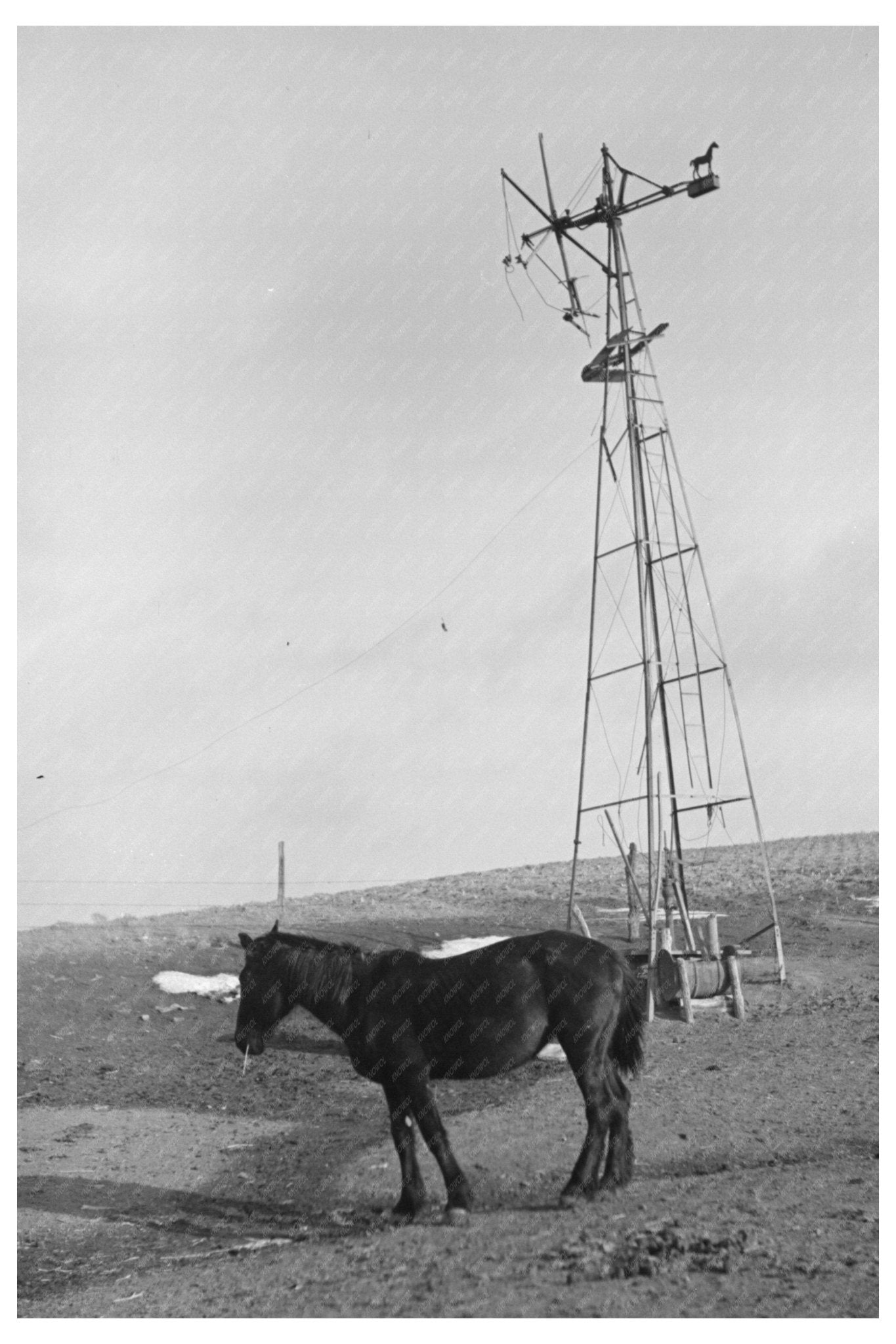 Blind Horse by Broken Windmill on Glen Cooks Farm 1936 - Available at KNOWOL