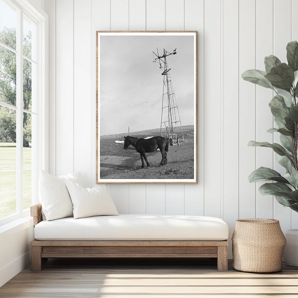 Blind Horse by Broken Windmill on Glen Cooks Farm 1936 - Available at KNOWOL