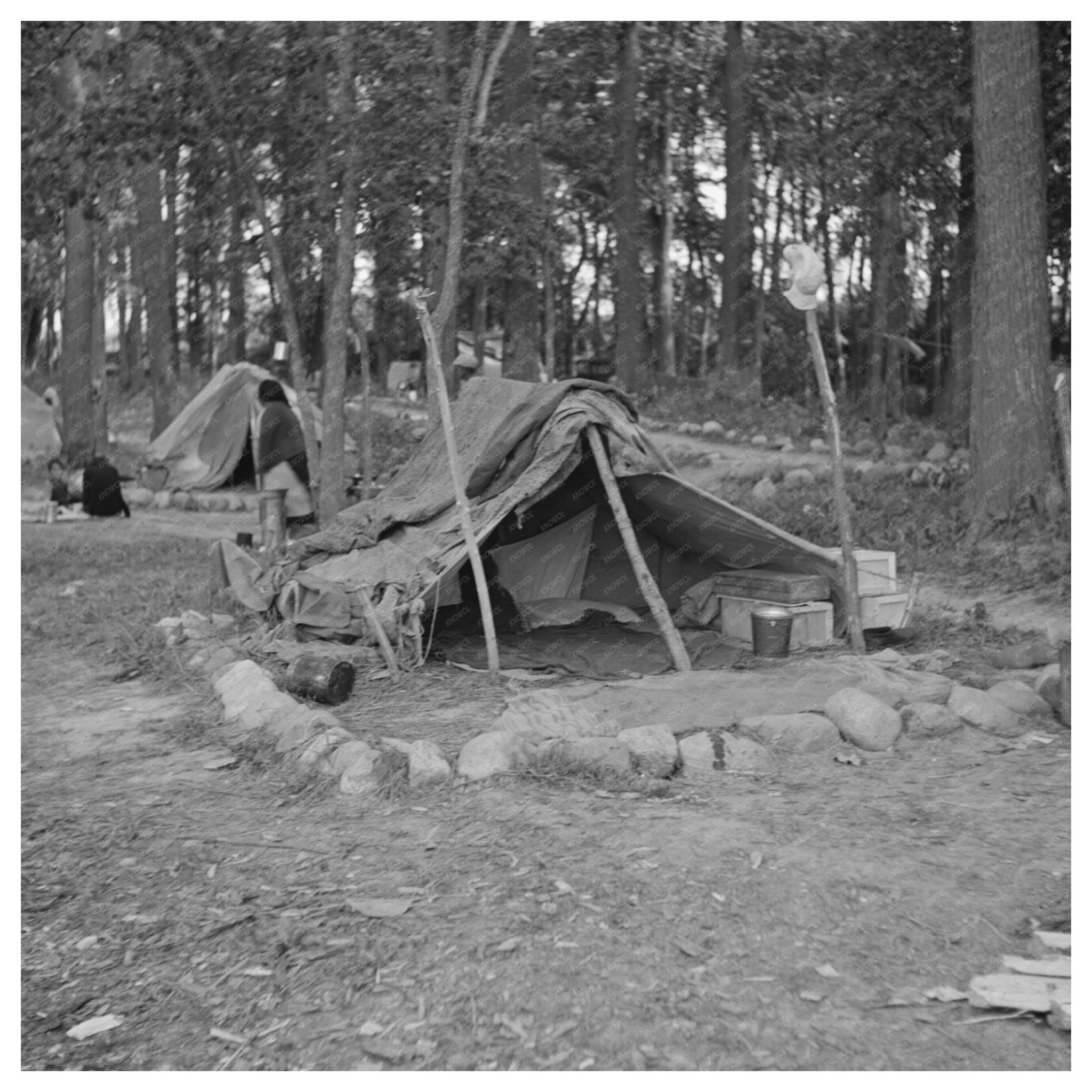 Blueberry Picker Tent Littlefork Minnesota August 1937 - Available at KNOWOL