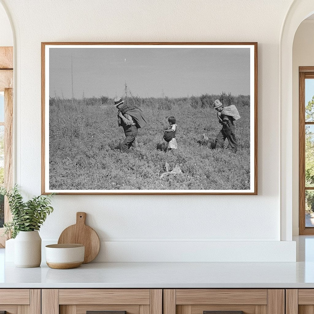 Blueberry Pickers in Minnesota Fields 1937 - Available at KNOWOL