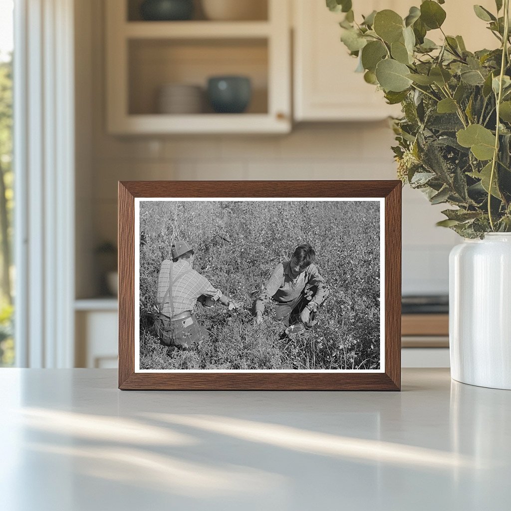 Blueberry Picking in Little Fork Minnesota 1937 - Available at KNOWOL