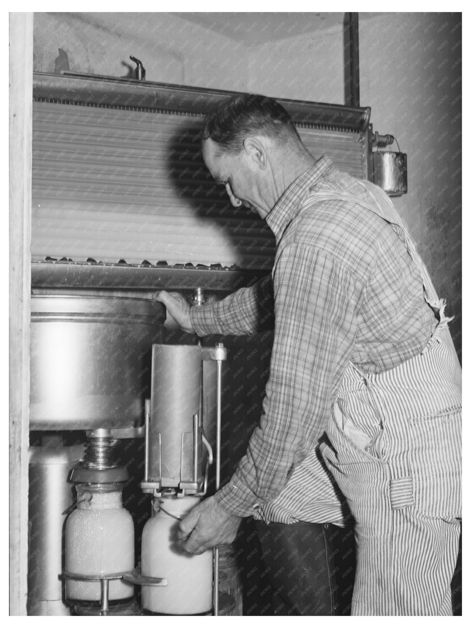 Bottling Milk at Mineral King Farm Tulare County 1940 - Available at KNOWOL