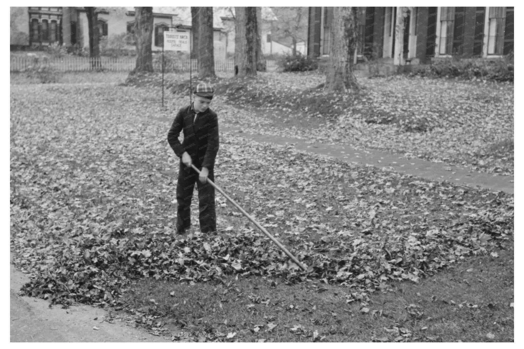 Boy Raking Leaves on Lawn in Bradford Vermont 1939 - Available at KNOWOL
