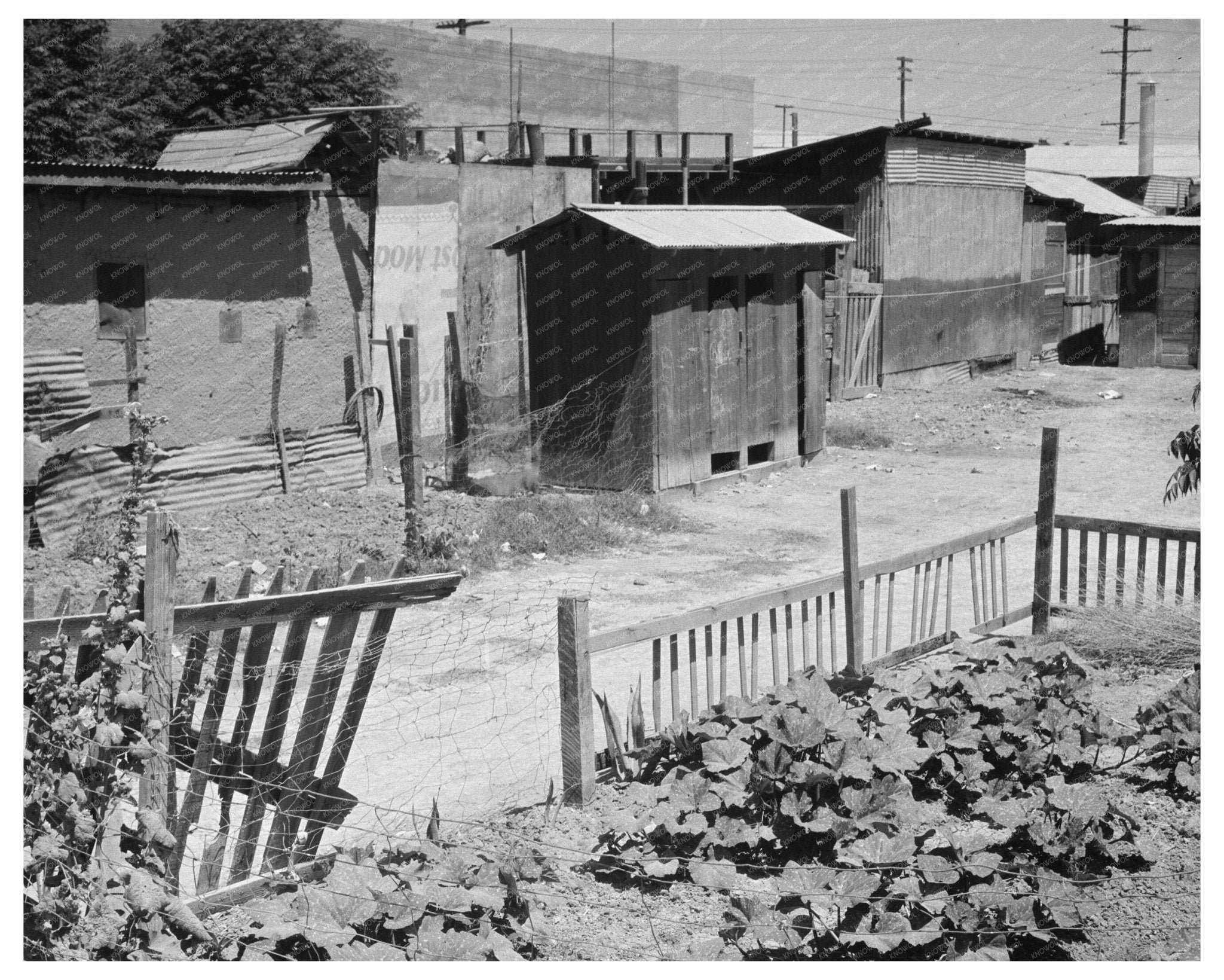 Brawley California 1935 Homes of Mexican Field Laborers Vintage Image - Available at KNOWOL