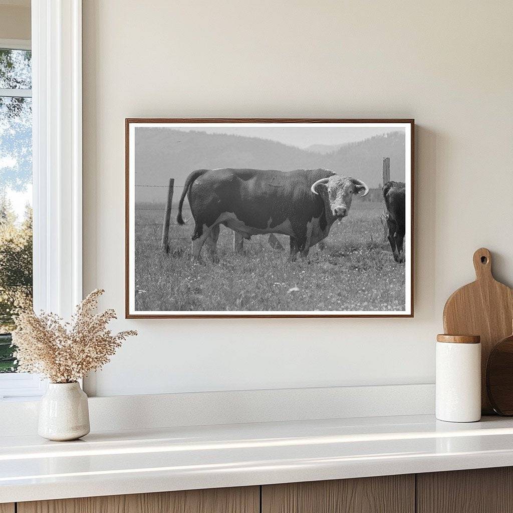 Bulls Head at Cruzen Ranch Valley County Idaho 1941 - Available at KNOWOL