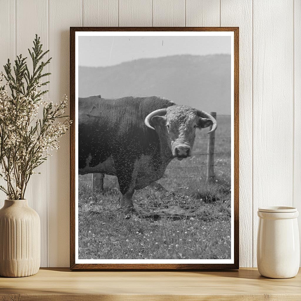 Bulls Head Cruzen Ranch Idaho July 1941 - Available at KNOWOL