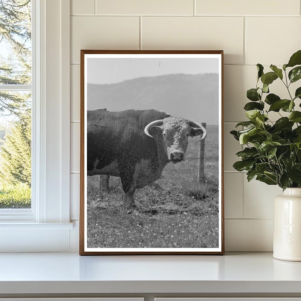 Bulls Head Cruzen Ranch Idaho July 1941 - Available at KNOWOL