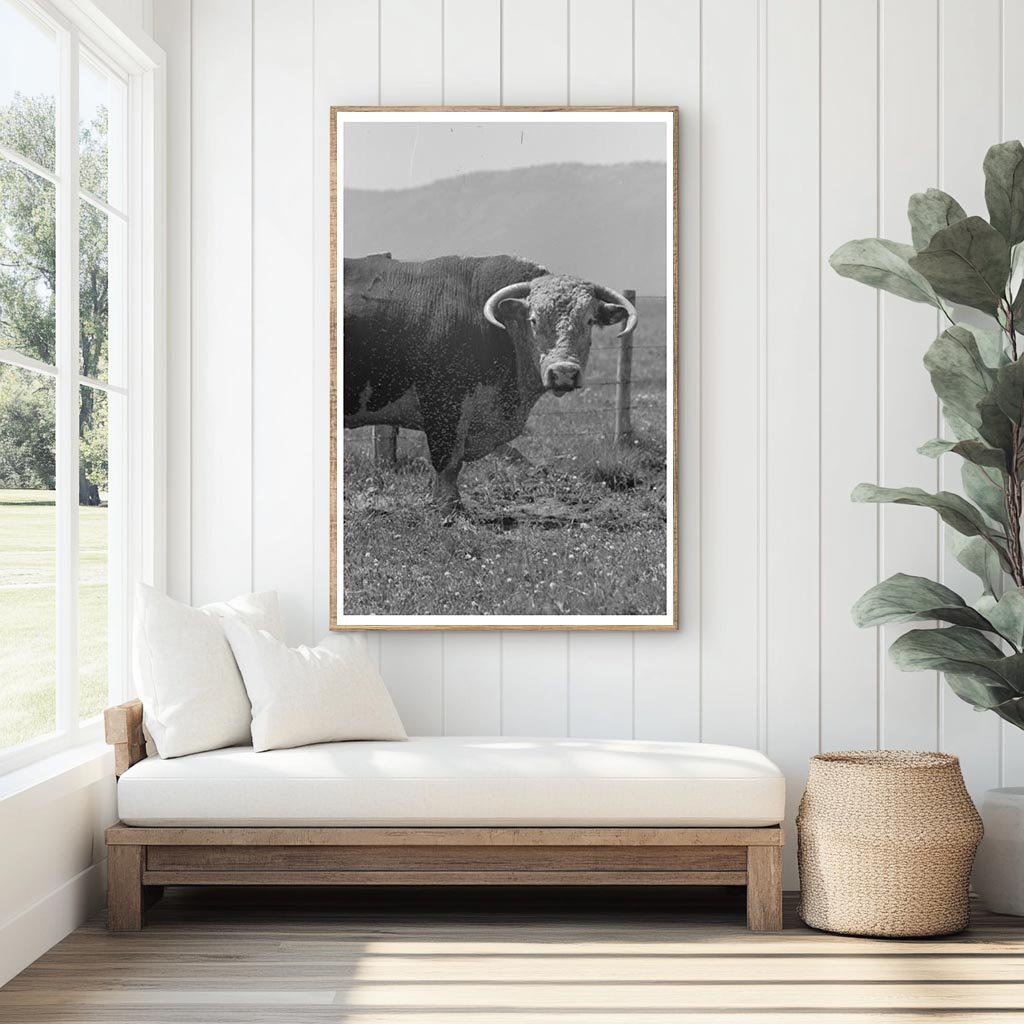 Bulls Head Cruzen Ranch Idaho July 1941 - Available at KNOWOL