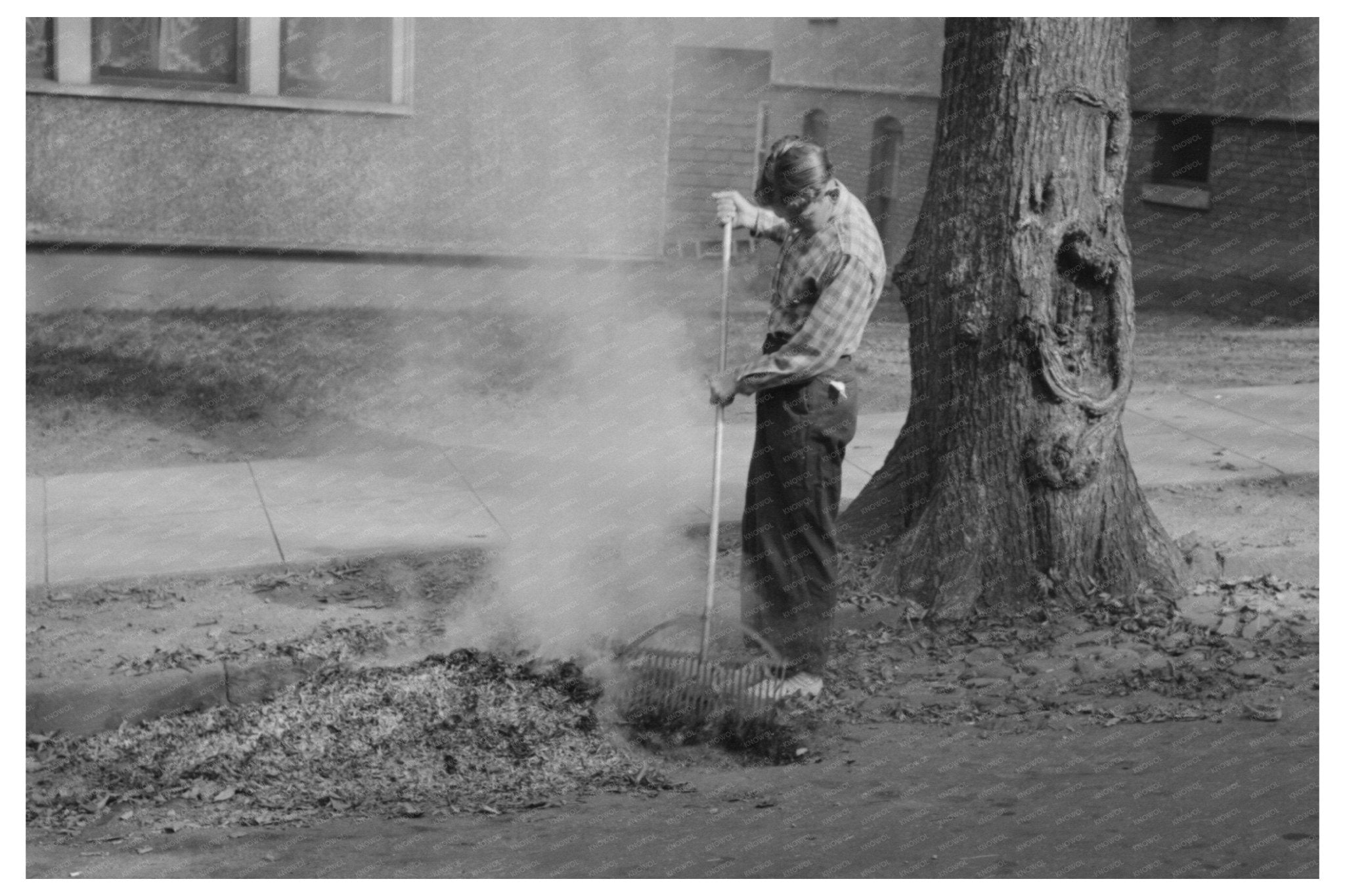 Burning Leaves in Meriden Connecticut October 1939 - Available at KNOWOL
