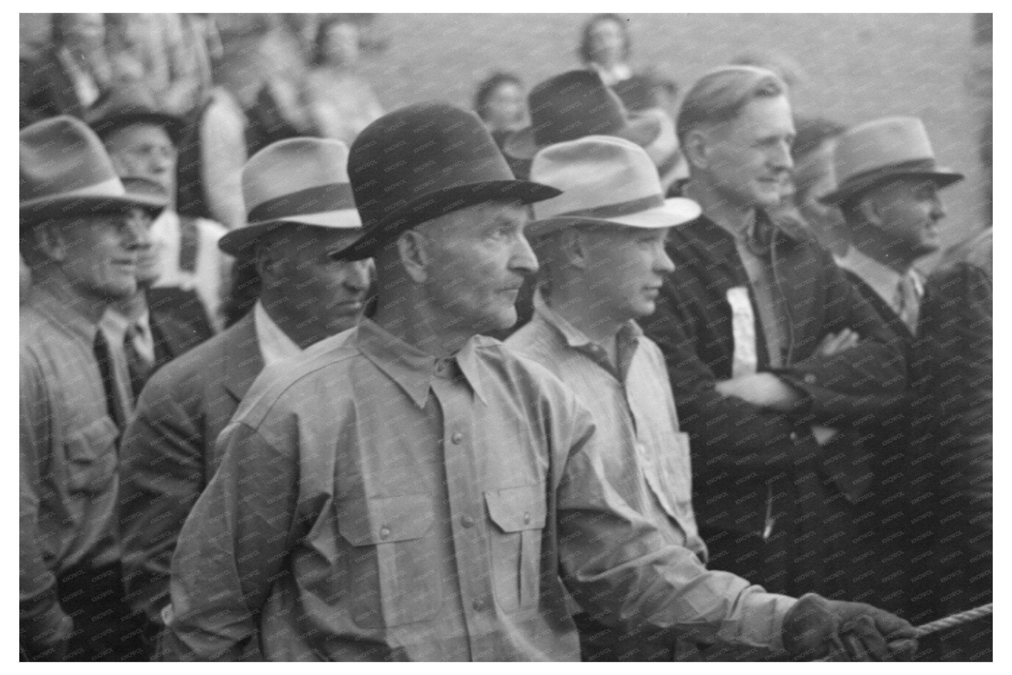 Burro - Loading Contest Silverton Colorado 1944 - Available at KNOWOL