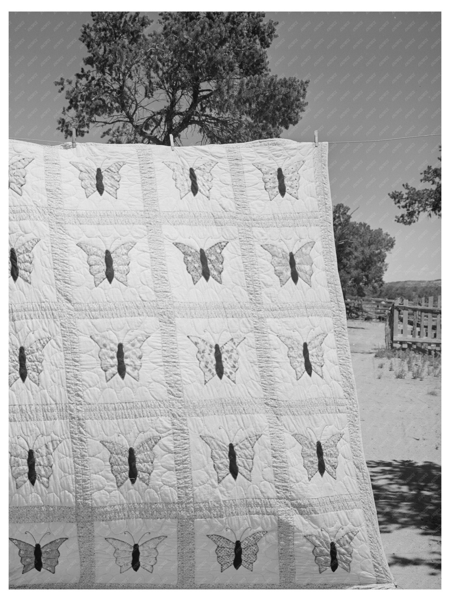 Butterfly Applique Quilt by Mrs. Bill Stagg 1940 - Available at KNOWOL