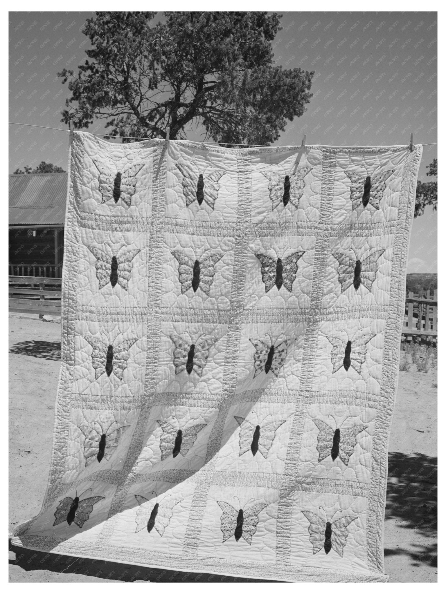 Butterfly Applique Quilt by Mrs. Bill Stagg June 1940 - Available at KNOWOL