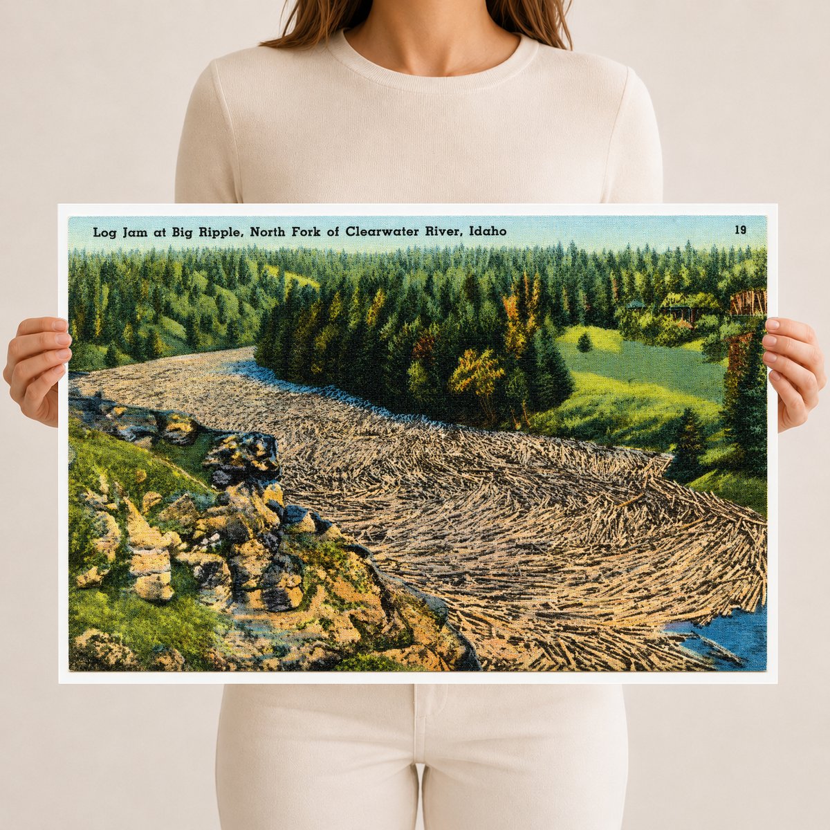 Clearwater, ID: Log jam at Big Ripple, North Fork of Clearwater River