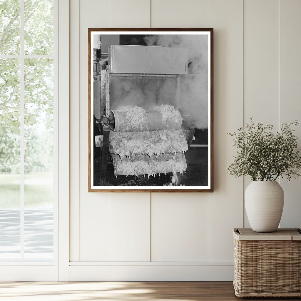 Cabbage Blanching in Albany California June 1942 - Available at KNOWOL