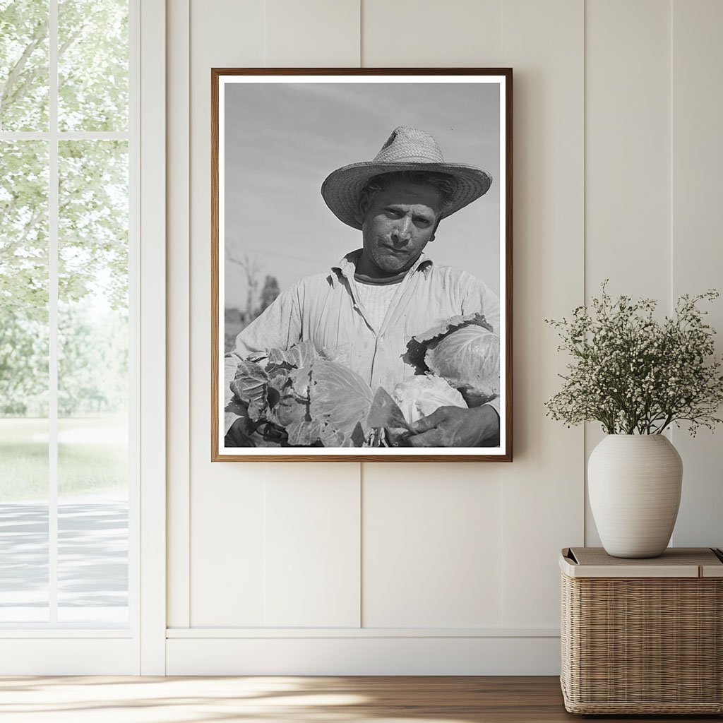 Cabbage Gathering in Imperial County California March 1942 - Available at KNOWOL