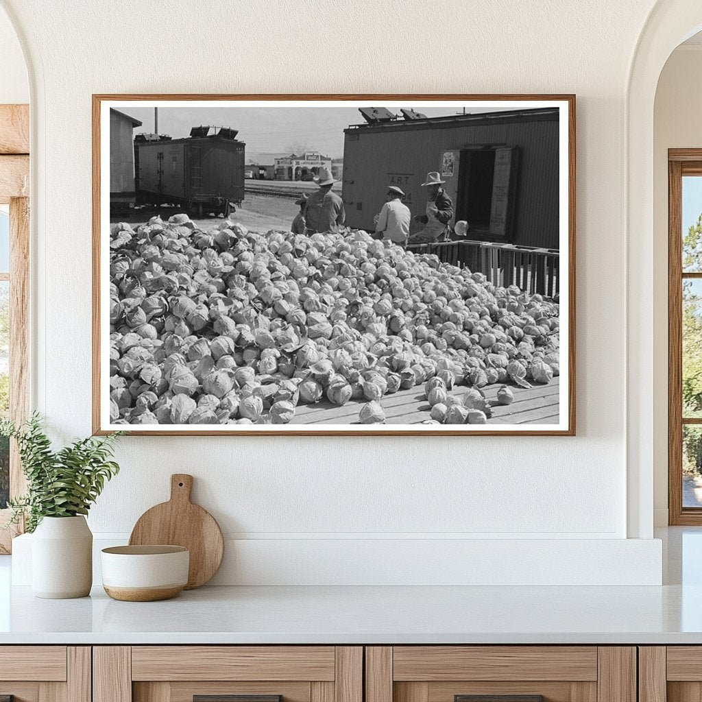 Cabbages in Alamo Texas February 1939 FSA Collection - Available at KNOWOL