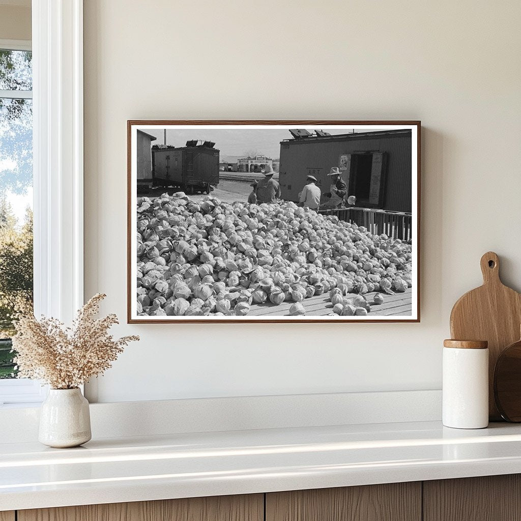 Cabbages in Alamo Texas February 1939 FSA Collection - Available at KNOWOL