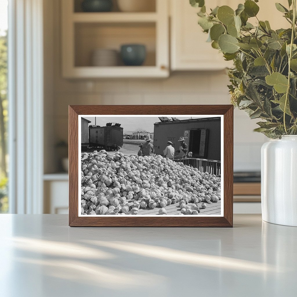 Cabbages in Alamo Texas February 1939 FSA Collection - Available at KNOWOL