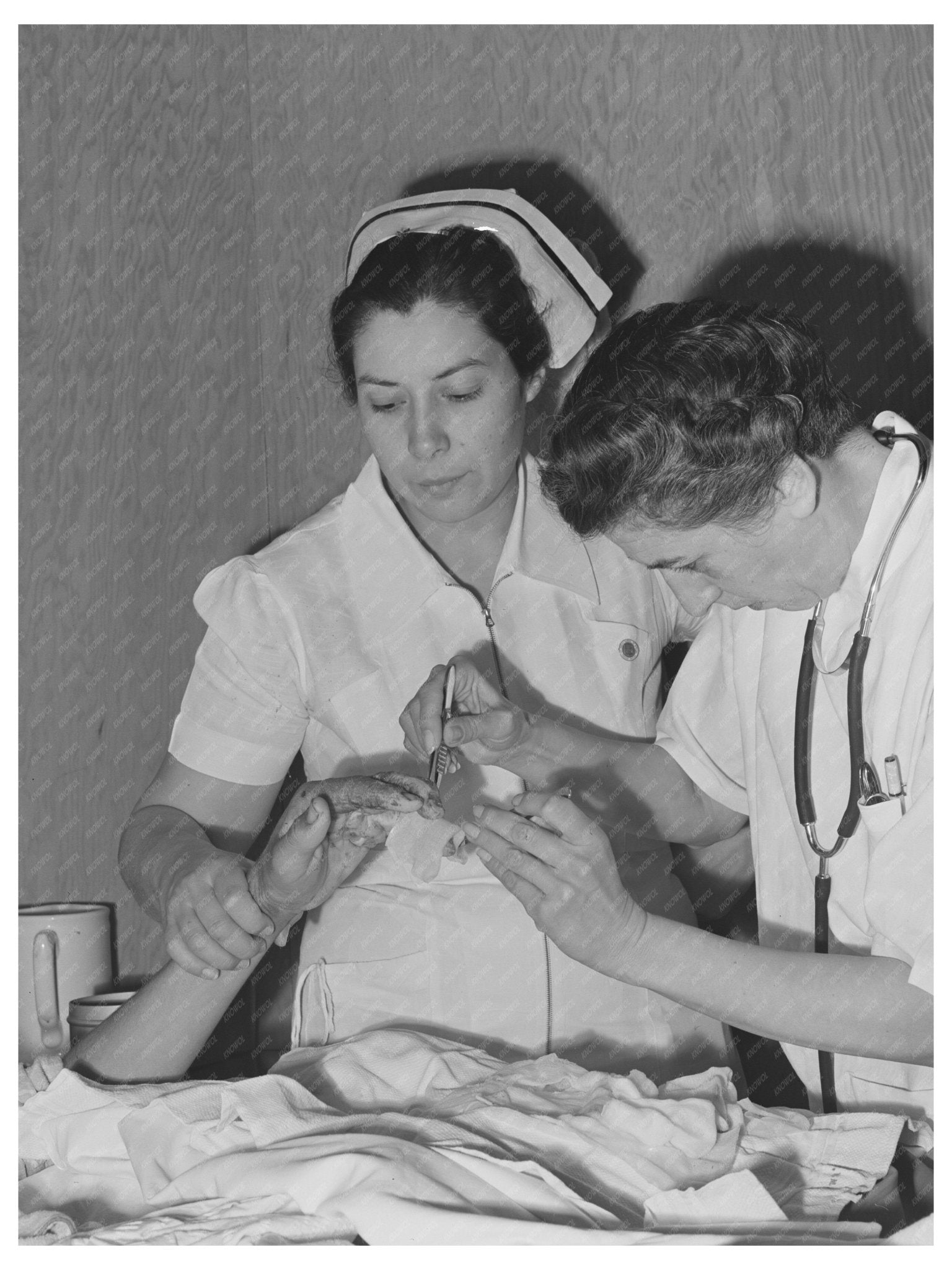 Cairns General Hospital 1942 Farm Workers Healthcare Scene - Available at KNOWOL