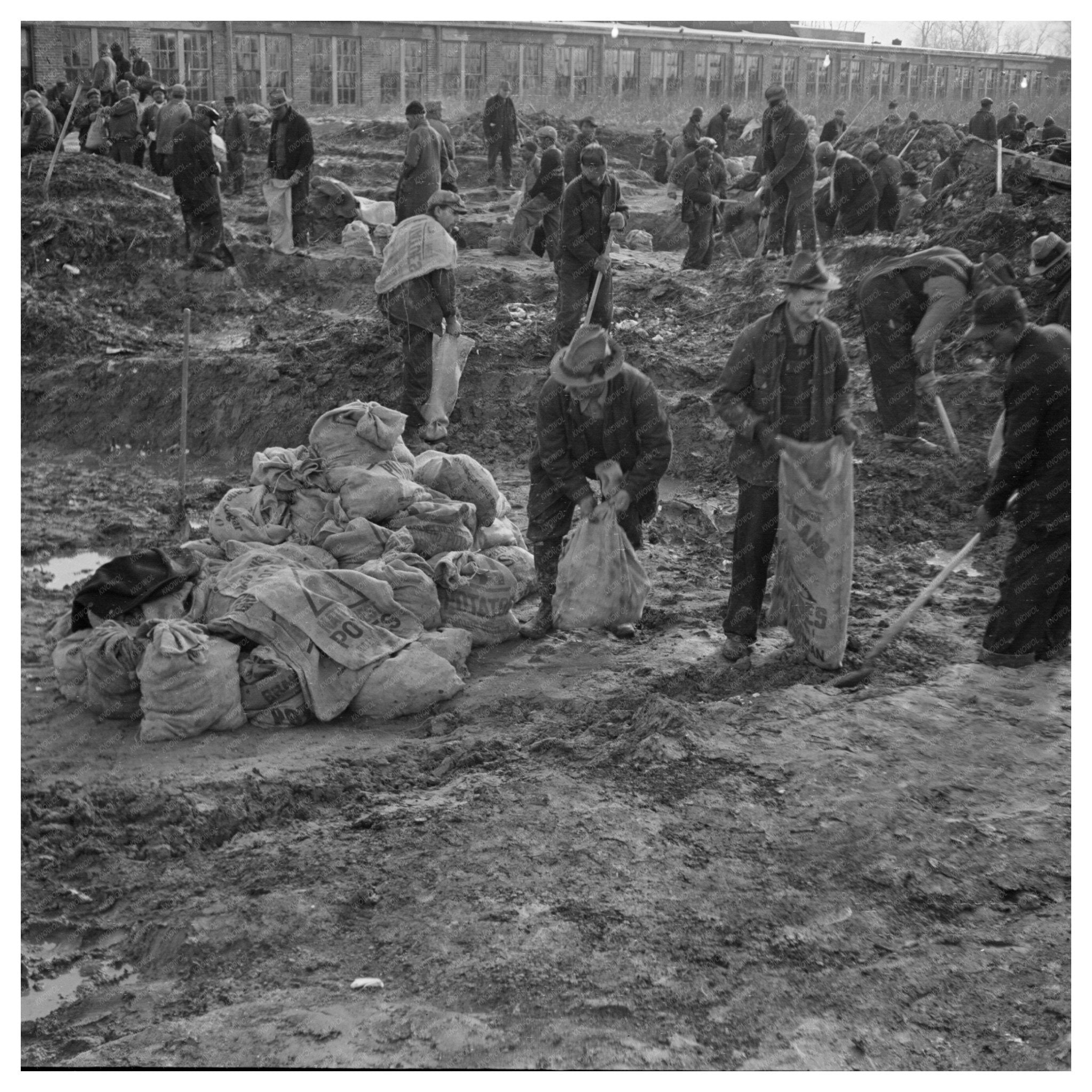 Cairo Illinois Workers Filling Sandbags February 1937 - Available at KNOWOL