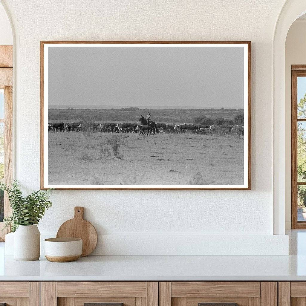 Calf Branding at Cattle Ranch Spur Texas 1939 - Available at KNOWOL
