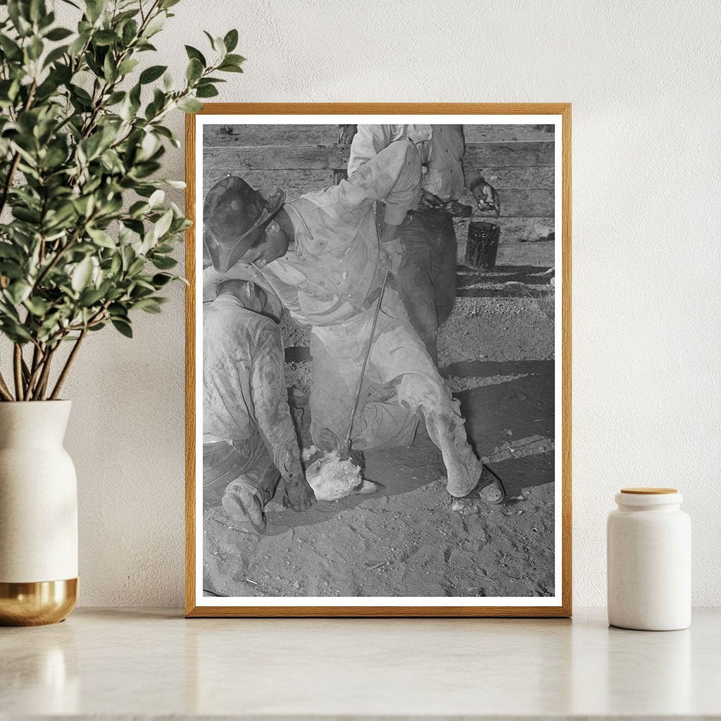 Calf Horn Burning Process at Walking X Ranch 1939 - Available at KNOWOL