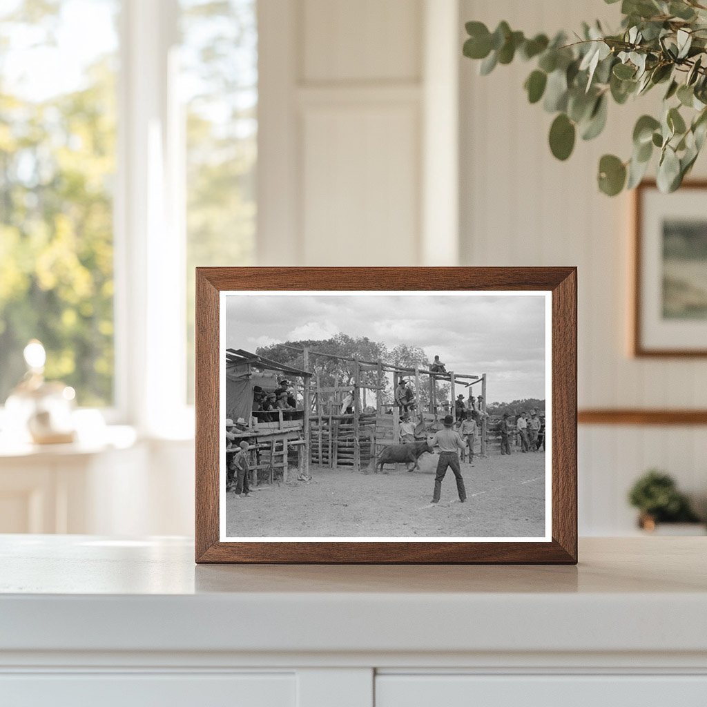 Calf Leaving Corral at Quemado Rodeo June 1940 - Available at KNOWOL