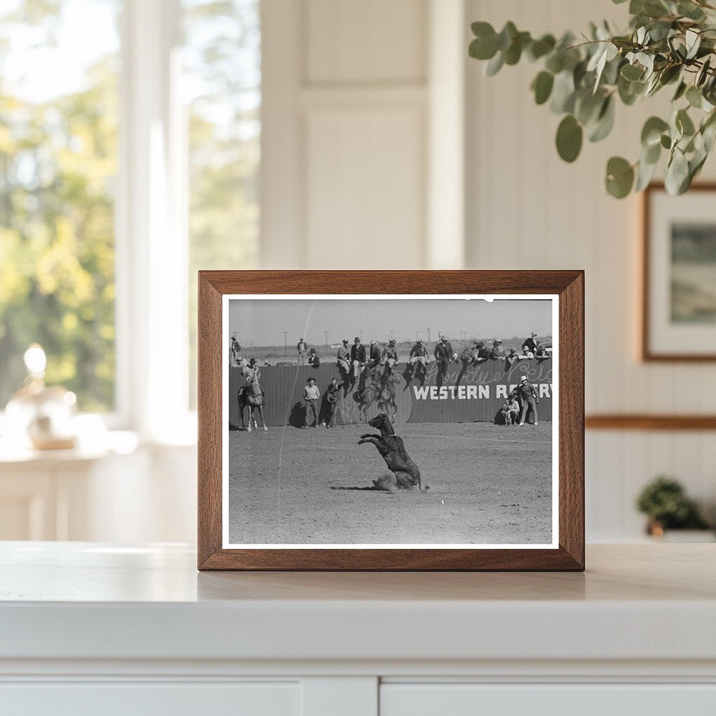 Calf Roping Contest at San Angelo Rodeo March 1940 - Available at KNOWOL