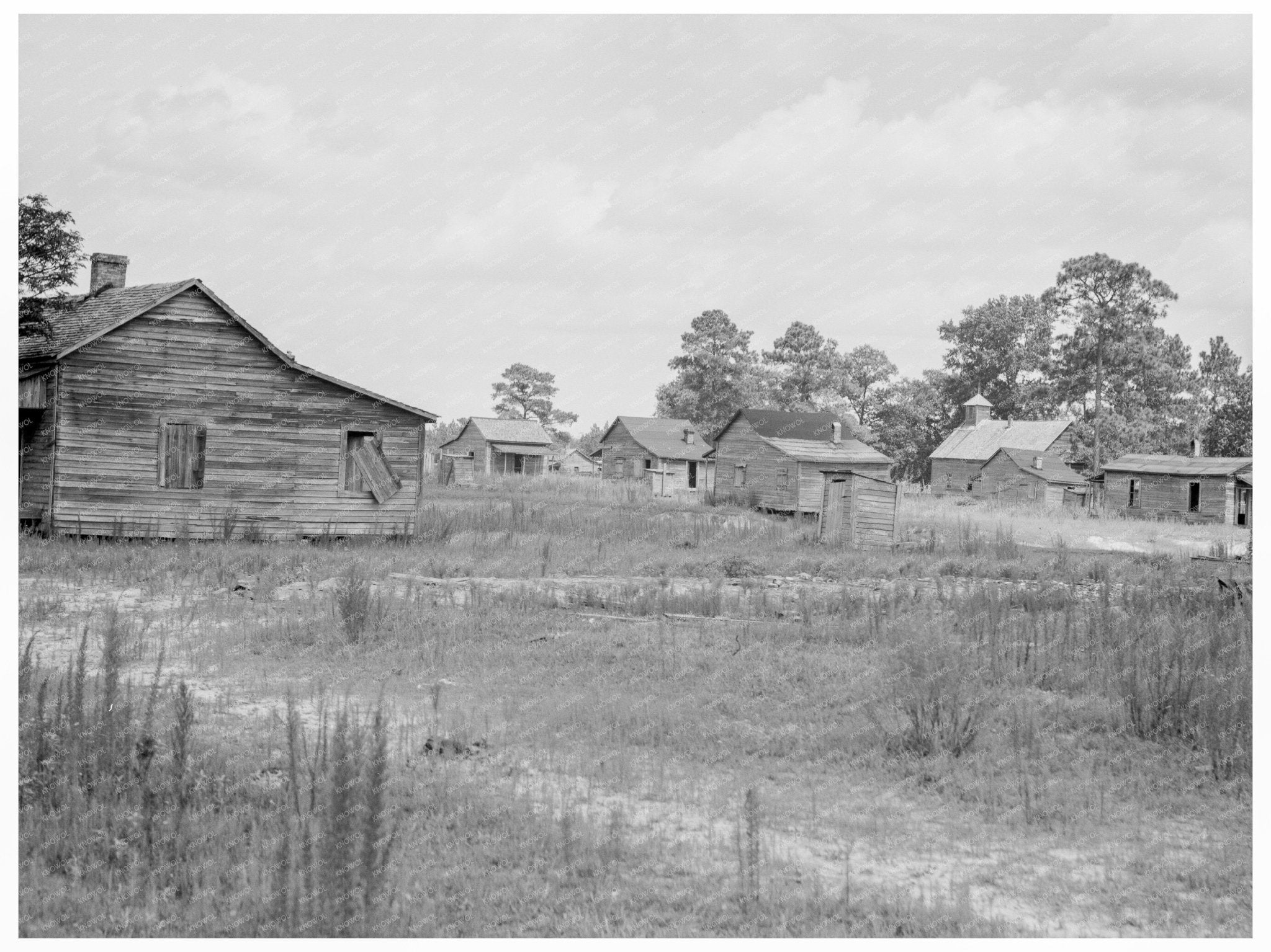Careyville Florida Ghost Town Vintage Image July 1937 - Available at KNOWOL