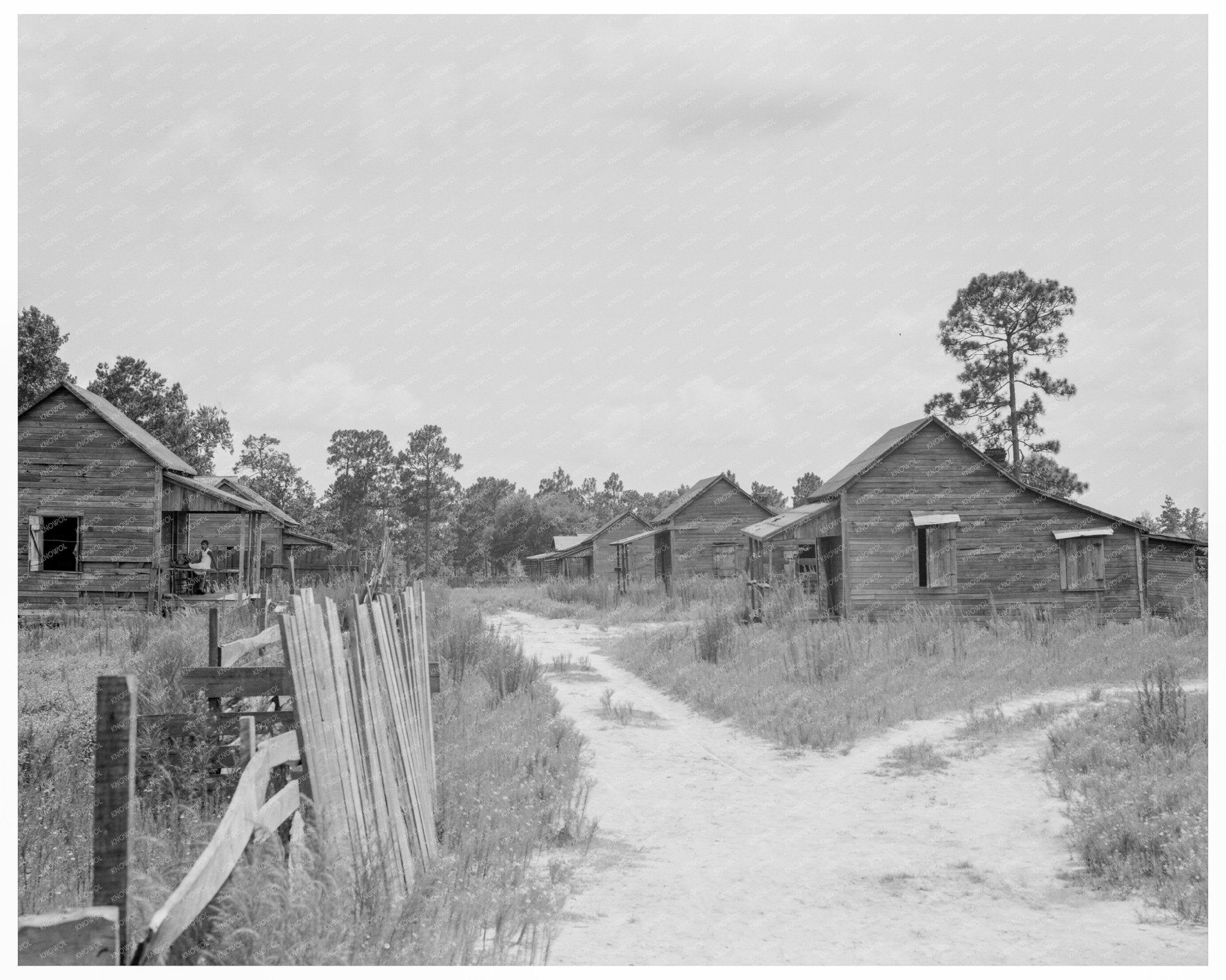 Careyville Florida Vintage Photo July 1937 Ghost Town - Available at KNOWOL