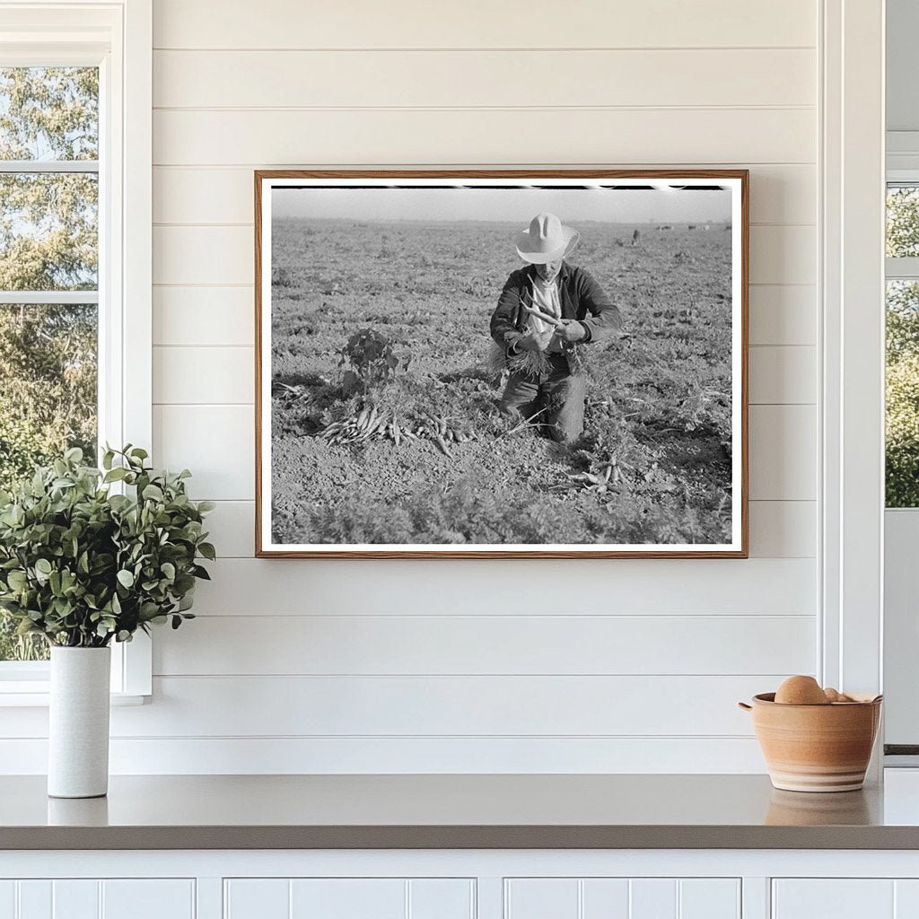 Carrot Workers Tying Bunches in Texas February 1939 - Available at KNOWOL
