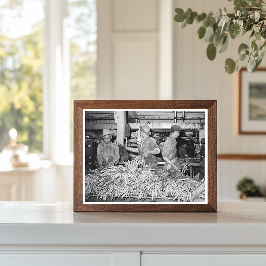 Carrots Unloaded for Washing at Texas Packing Plant 1939 - Available at KNOWOL