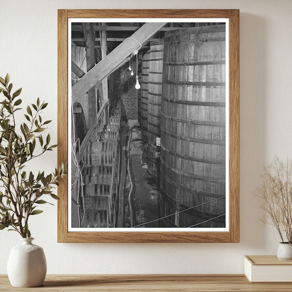 Casks of Aging Wine Sonoma County January 1942 - Available at KNOWOL