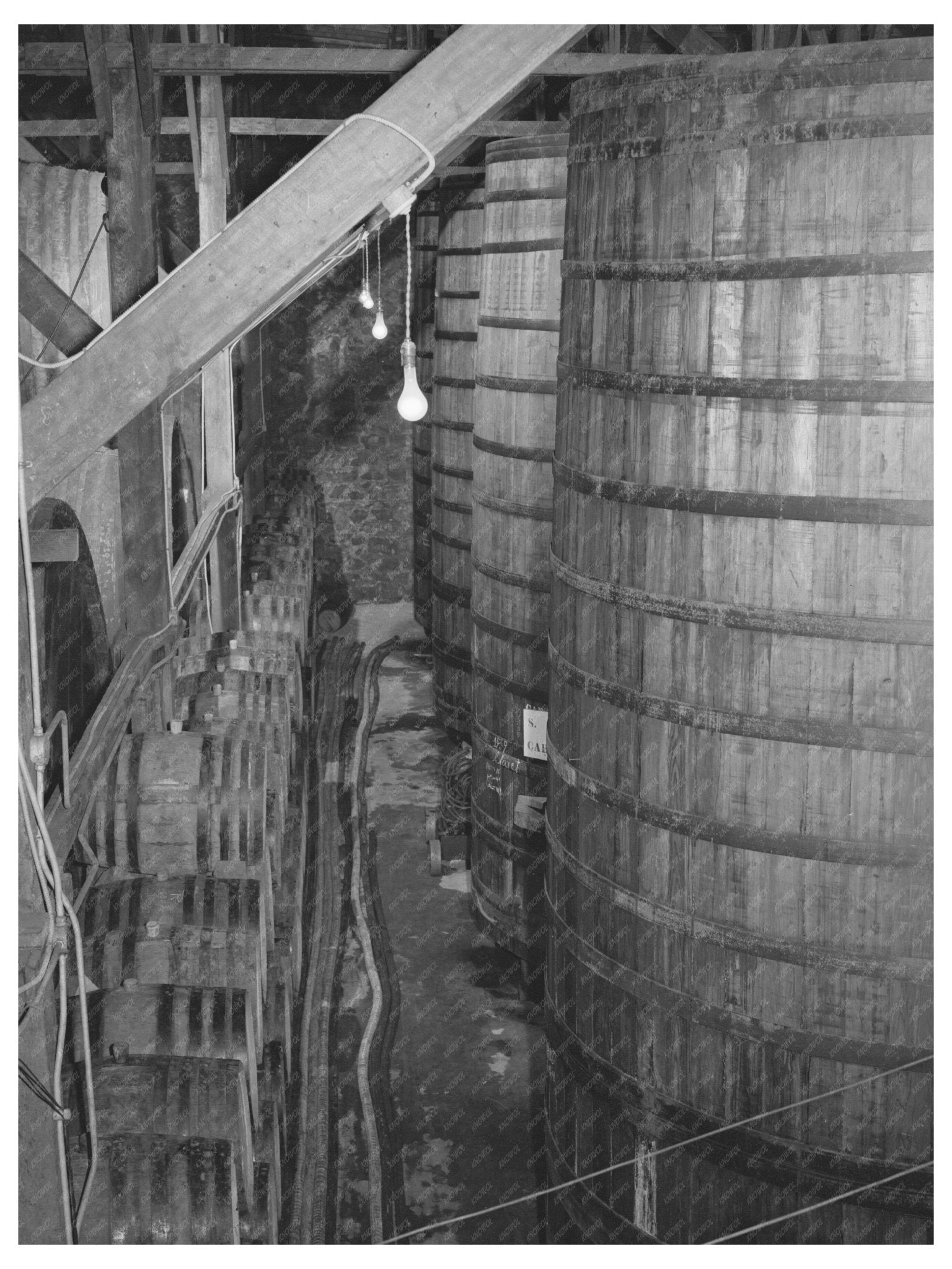 Casks of Aging Wine Sonoma County January 1942 - Available at KNOWOL