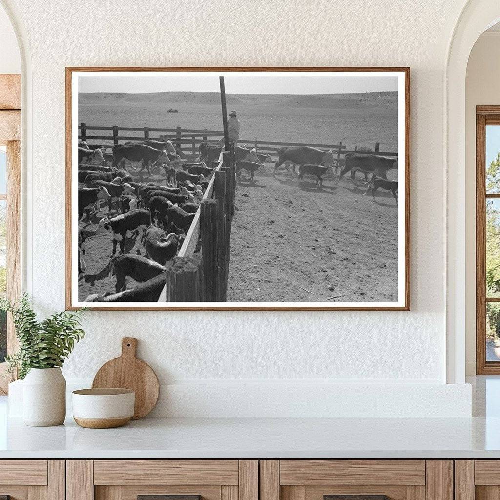 Cattle Branding at Walking X Ranch May 1939 - Available at KNOWOL