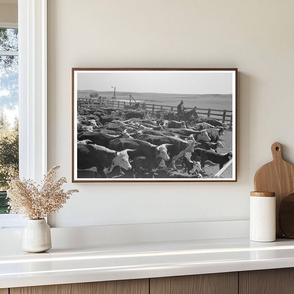 Cattle Branding Roundup Marfa Texas May 1939 - Available at KNOWOL