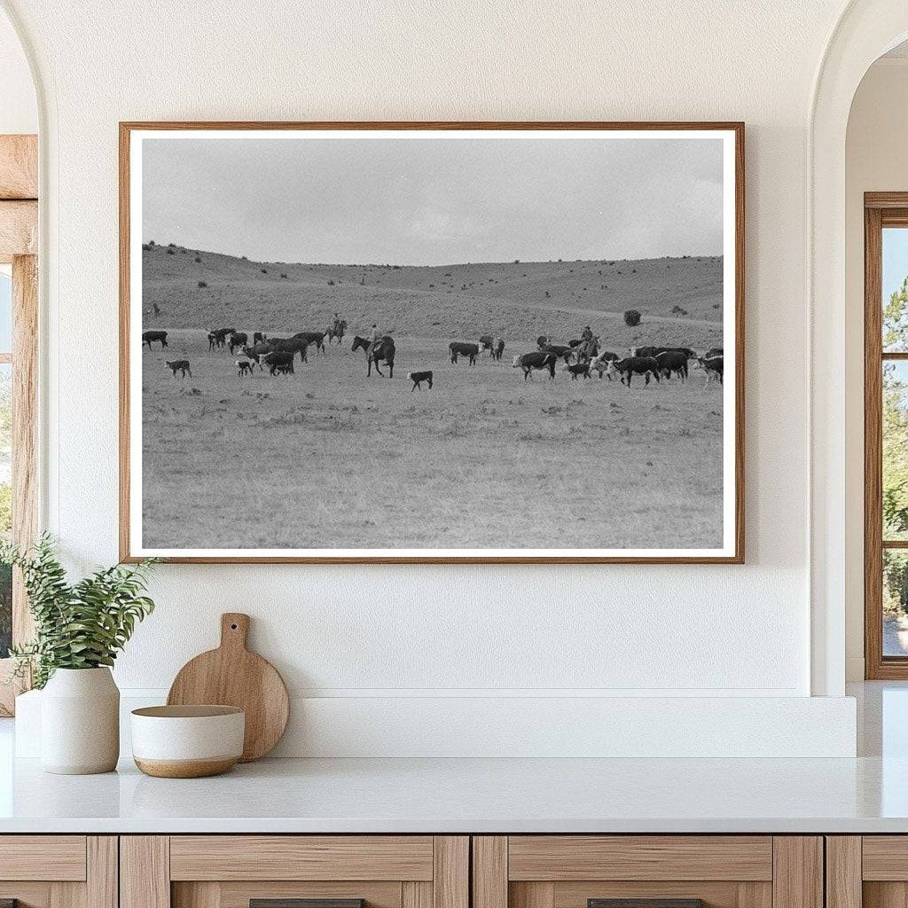 Cattle Roundup in Marfa Texas May 1939 Vintage Photo - Available at KNOWOL