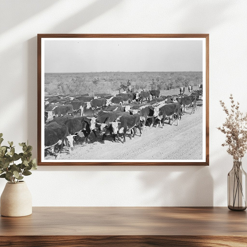 Cattle Roundup Near Eagle Pass Texas March 1939 - Available at KNOWOL